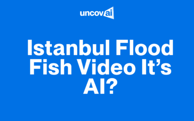 Istanbul Flood Fish Video It’s AI?