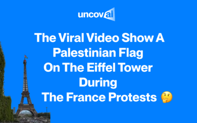 Does the Viral Video Show a Palestinian Flag on the Eiffel Tower During the France Protests?